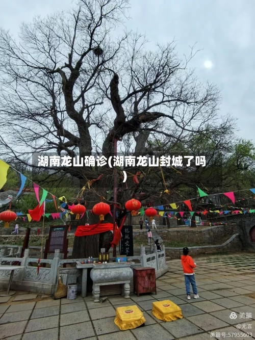 湖南龙山确诊(湖南龙山封城了吗)