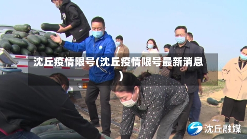 沈丘疫情限号(沈丘疫情限号最新消息)
