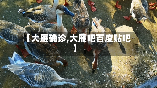 【大雁确诊,大雁吧百度贴吧】-第2张图片