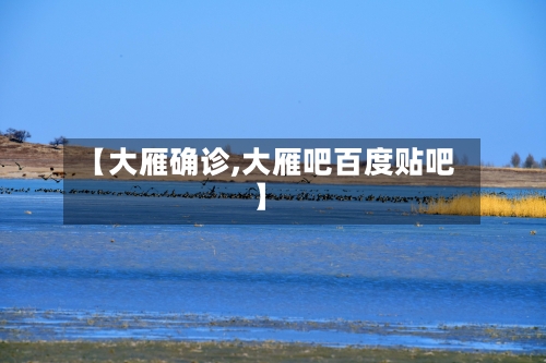 【大雁确诊,大雁吧百度贴吧】-第3张图片