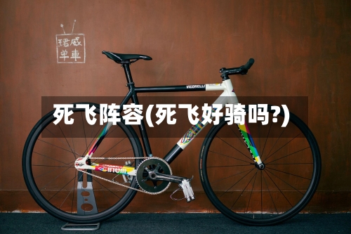 死飞阵容(死飞好骑吗?)