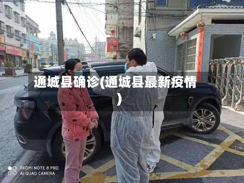 通城县确诊(通城县最新疫情)-第2张图片