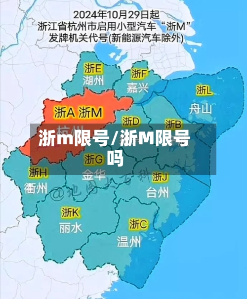 浙m限号/浙M限号吗