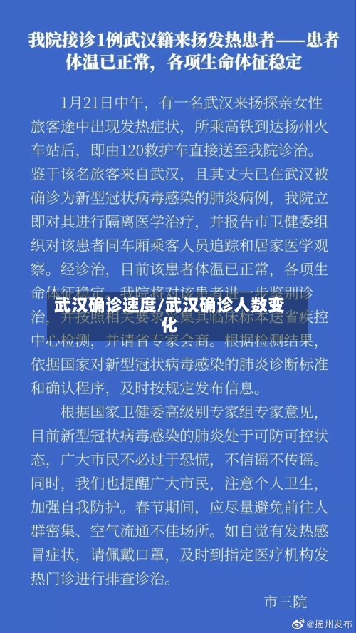 武汉确诊速度/武汉确诊人数变化-第2张图片