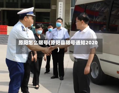 原阳怎么限号(原阳县限号通知2020)-第2张图片