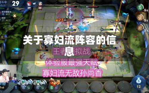 关于寡妇流阵容的信息-第2张图片