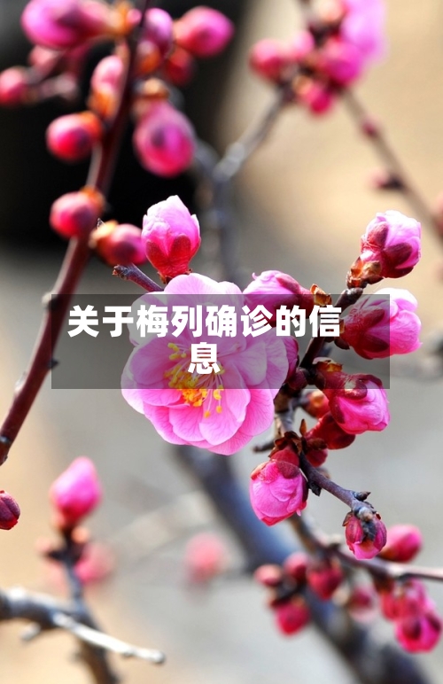 关于梅列确诊的信息-第2张图片