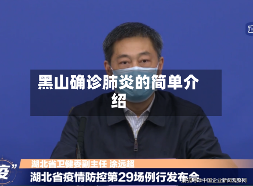 黑山确诊肺炎的简单介绍-第2张图片