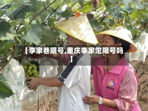 【李家巷限号,重庆李家沱限号吗】-第2张图片