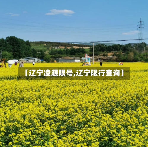 【辽宁凌源限号,辽宁限行查询】