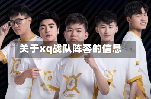 关于xq战队阵容的信息-第2张图片