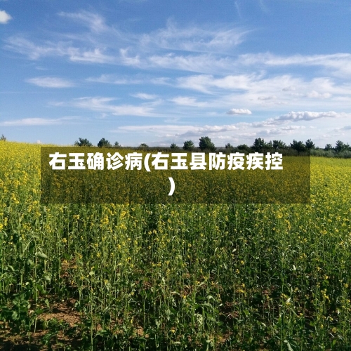 右玉确诊病(右玉县防疫疾控)