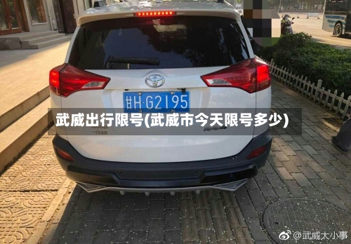 武威出行限号(武威市今天限号多少)-第2张图片