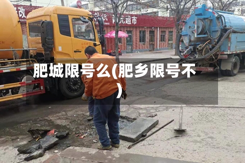 肥城限号么(肥乡限号不)-第2张图片