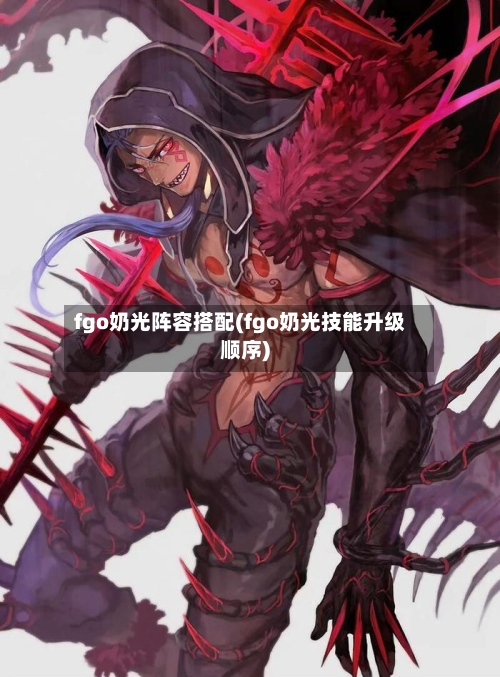 fgo奶光阵容搭配(fgo奶光技能升级顺序)-第3张图片