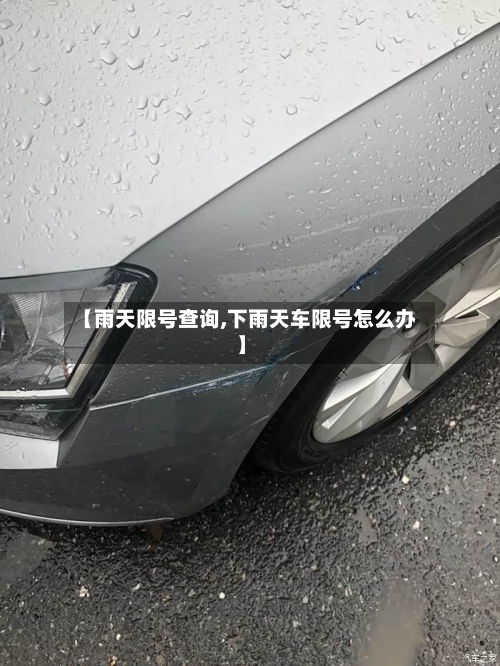 【雨天限号查询,下雨天车限号怎么办】-第3张图片