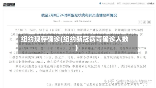纽约现存确诊(纽约新冠病毒确诊人数)-第3张图片