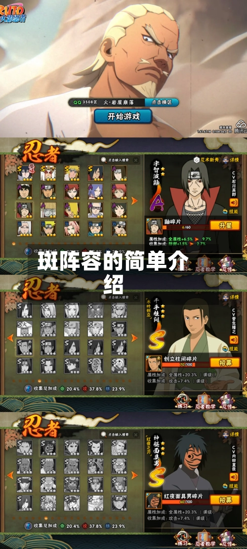 斑阵容的简单介绍-第2张图片