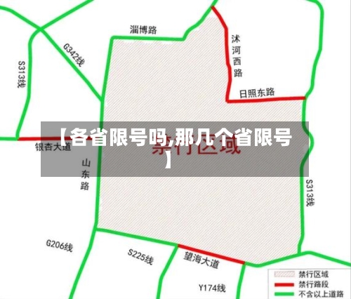 【各省限号吗,那几个省限号】-第3张图片