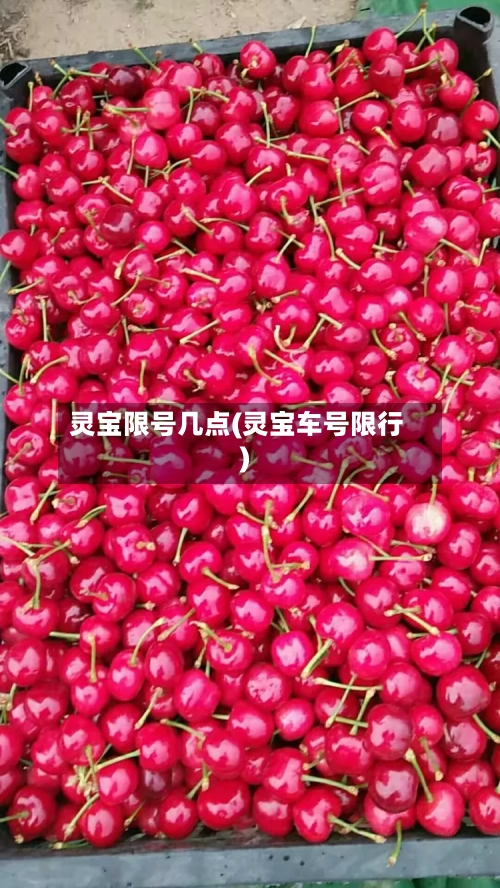 灵宝限号几点(灵宝车号限行)-第2张图片