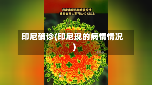印尼确诊(印尼现的病情情况)-第3张图片