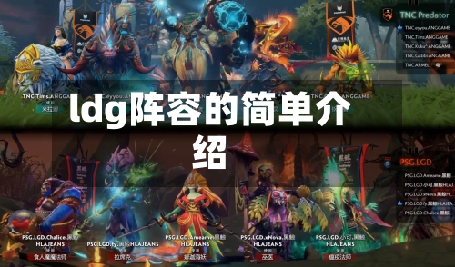 ldg阵容的简单介绍-第2张图片