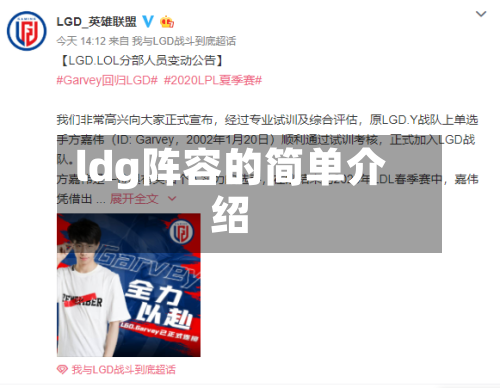 ldg阵容的简单介绍-第3张图片