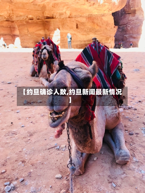 【约旦确诊人数,约旦新闻最新情况】
