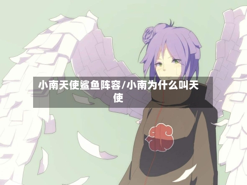 小南天使鲨鱼阵容/小南为什么叫天使