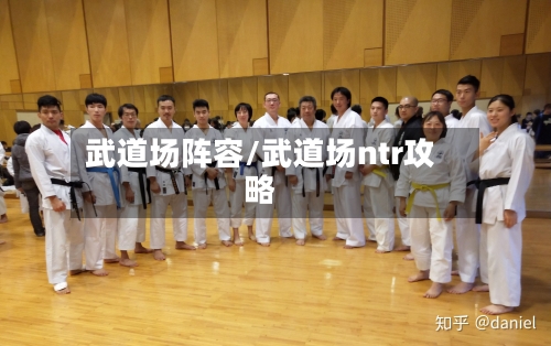 武道场阵容/武道场ntr攻略