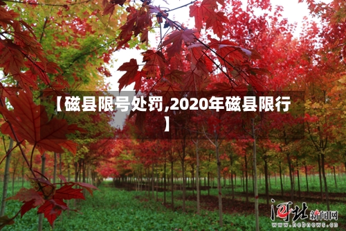 【磁县限号处罚,2020年磁县限行】-第3张图片
