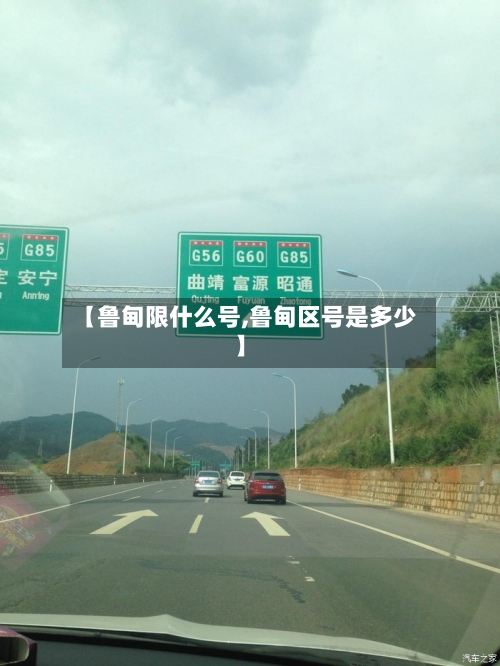 【鲁甸限什么号,鲁甸区号是多少】