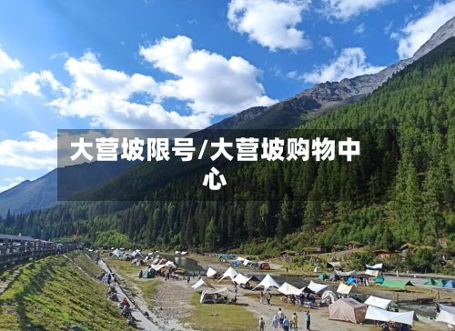 大营坡限号/大营坡购物中心-第2张图片