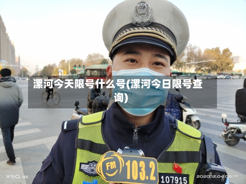 漯河今天限号什么号(漯河今日限号查询)