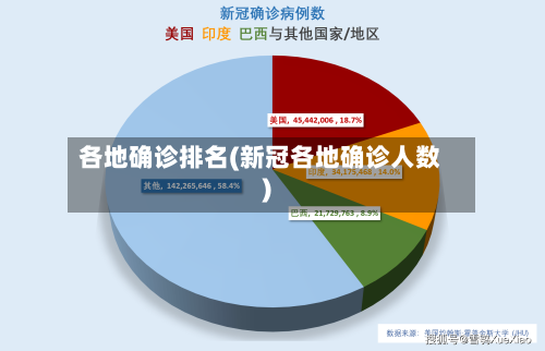 各地确诊排名(新冠各地确诊人数)