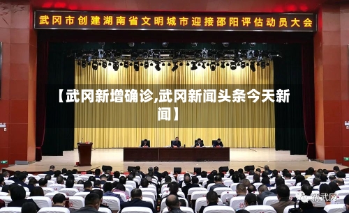 【武冈新增确诊,武冈新闻头条今天新闻】-第2张图片
