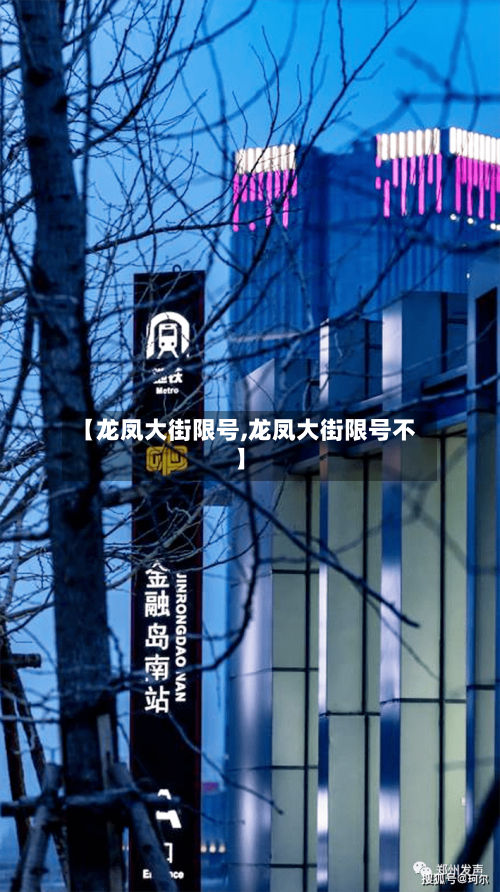 【龙凤大街限号,龙凤大街限号不】-第3张图片