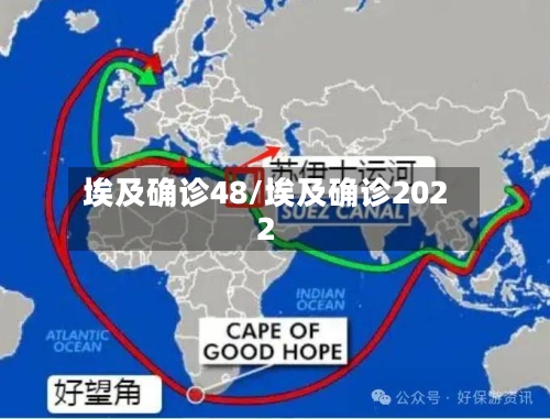 埃及确诊48/埃及确诊2022