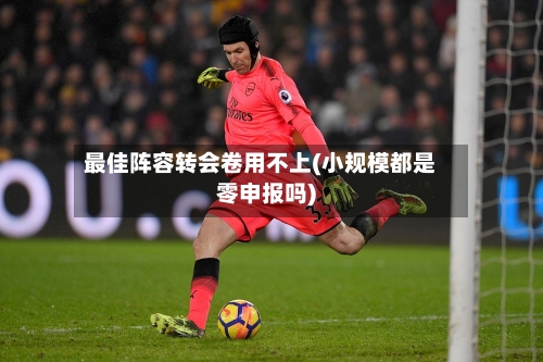 最佳阵容转会卷用不上(小规模都是零申报吗)