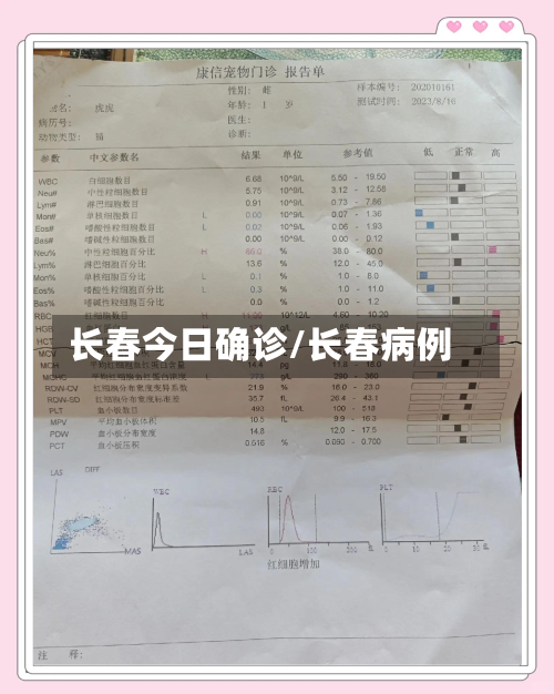 长春今日确诊/长春病例