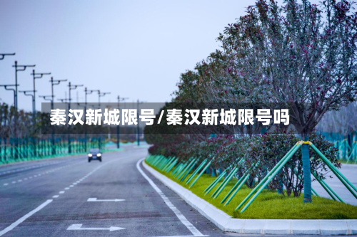 秦汉新城限号/秦汉新城限号吗