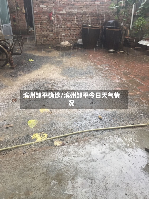 滨州邹平确诊/滨州邹平今日天气情况-第2张图片