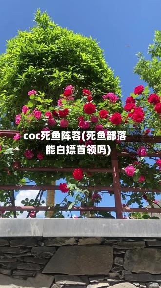 coc死鱼阵容(死鱼部落能白嫖首领吗)-第2张图片