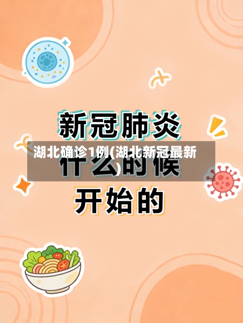 湖北确诊1例(湖北新冠最新)-第3张图片