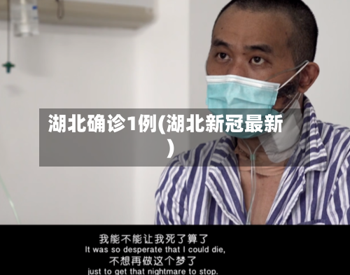 湖北确诊1例(湖北新冠最新)-第2张图片