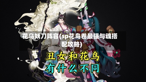 花鸟妖刀阵容(sp花鸟卷最强与魂搭配攻略)-第2张图片
