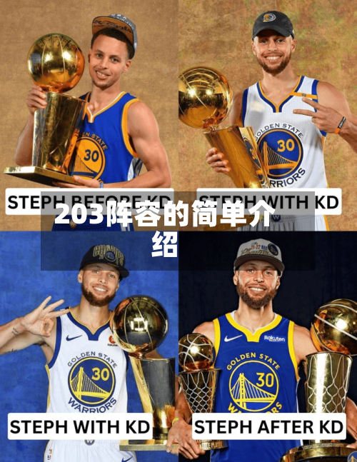 203阵容的简单介绍-第3张图片