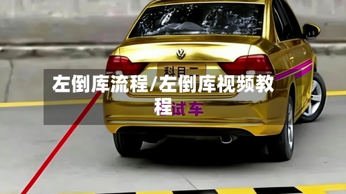 左倒库流程/左倒库视频教程-第2张图片