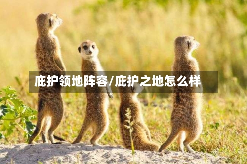 庇护领地阵容/庇护之地怎么样