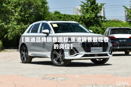 【奥迪品牌销售流程,奥迪销售最吃香的岗位】